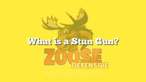 What is a Stun Gun?