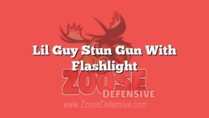 Lil Guy Stun Gun With Flashlight