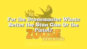 For the Dronemaster Whats Better the Stun Gun Or the Pistol?