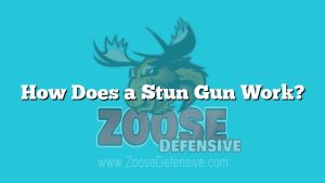 How Does a Stun Gun Work?