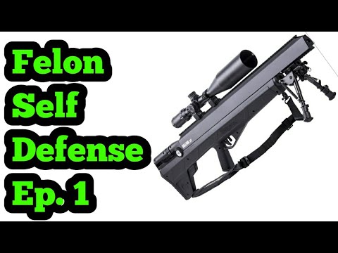 Self Defense Weapons For Felons