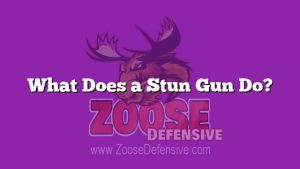 What Does a Stun Gun Do?