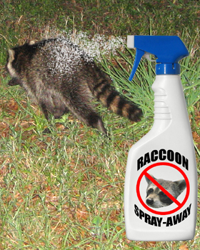 Pepper Spray Raccoon